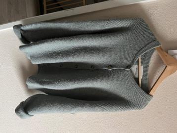 Humanoid vest beschikbaar voor biedingen