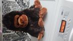 Grote aap knuffel, Ophalen, Zo goed als nieuw, Overige typen