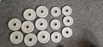 Rugraor Halterschijven Set gewichten voor de sportschool  beschikbaar voor biedingen