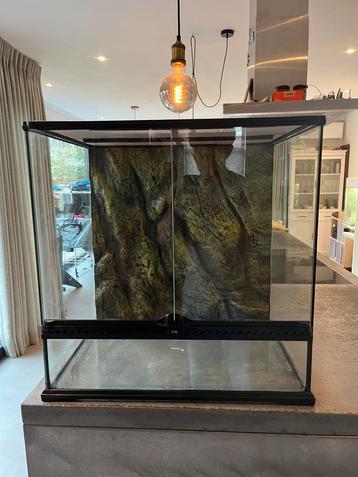 Exo terra terrarium 60x60x45 NIEUW beschikbaar voor biedingen