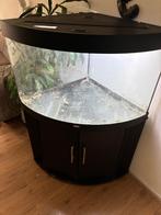 Juwel Trigon 190 Aquarium met meubel, Dieren en Toebehoren, Ophalen, Gebruikt, Leeg aquarium