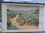 antiek schoolplaten wijnbouw in Champagne Frankrijk wijn, Ophalen of Verzenden