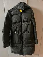 Parajumpers dames winterjas maat S, Kleding | Dames, Jassen | Winter, Zo goed als nieuw, Maat 36 (S), Groen, Parajumpers