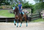 Weatherbeeta Prime Zadeldek Turquoise, Full Dressuur, Dieren en Toebehoren, Paarden en Pony's | Dekens en Dekjes, Ophalen of Verzenden