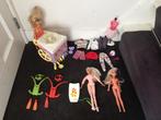 barbie Fleur pop ijsmachine - paspop en nog veel meer, Kinderen en Baby's, Ophalen of Verzenden, Barbie