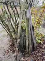 Schapenhek met palen - Natuurlijke erfafscheiding, Tuin en Terras, Tuinhekken en Hekwerk, Ophalen, Gebruikt, Hout, Tuinhek