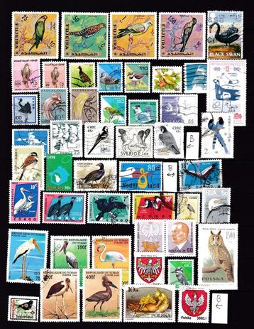 9304) vogels ca 48x   beschikbaar voor biedingen