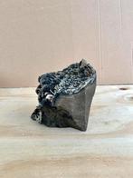 Uruguay cluster, Ophalen of Verzenden