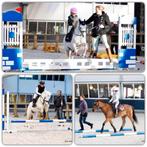 Verplaatsbare pony/ lease of bruikleen pony gezocht, Dieren en Toebehoren, Stalling en Weidegang