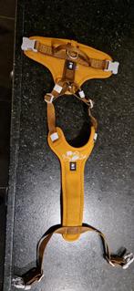 hondentuigje voor pup of kleine hond, Ophalen of Verzenden, Zo goed als nieuw