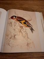 Les Oiseaux - Jonathan Elphick (Frans), Ophalen of Verzenden, Zo goed als nieuw, Vogels