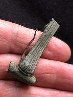 Bodemvondst Romeinse VEERHUIS KRAAG FIBULA zeldzaam type!!, Antiek en Kunst, Ophalen of Verzenden