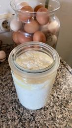Kefir, melkkefirkorrels, Diversen, Levensmiddelen, Ophalen