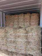 Kleine baaltjes hooi, Dieren en Toebehoren, Ophalen, Vee