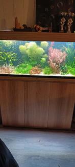 Rio 180 Juwel aquarium, Dieren en Toebehoren, Ophalen, Gebruikt, Leeg aquarium