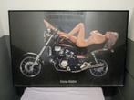 Honda magna motorfiets poster jaren80 sex naakte porno vrouw, Verzamelen, Reclame, Rechthoekig Liggend, Gebruikt, Ophalen of Verzenden