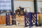 Paardrijlessen voor jong en oud, Diensten en Vakmensen, Dieren | Paarden | Verzorging, Oppas en Les, Gedragstraining