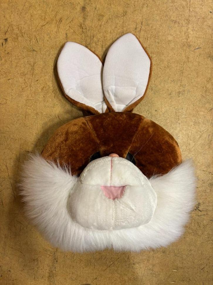 Paashaas kostuum, Diversen, Pasen, Gebruikt, Ophalen