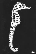Martien Bakhuizen (eigen werk) - Zeepaardje (1), Ophalen of Verzenden