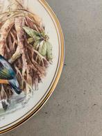 Bordjes van porselein met vogels., Ophalen of Verzenden