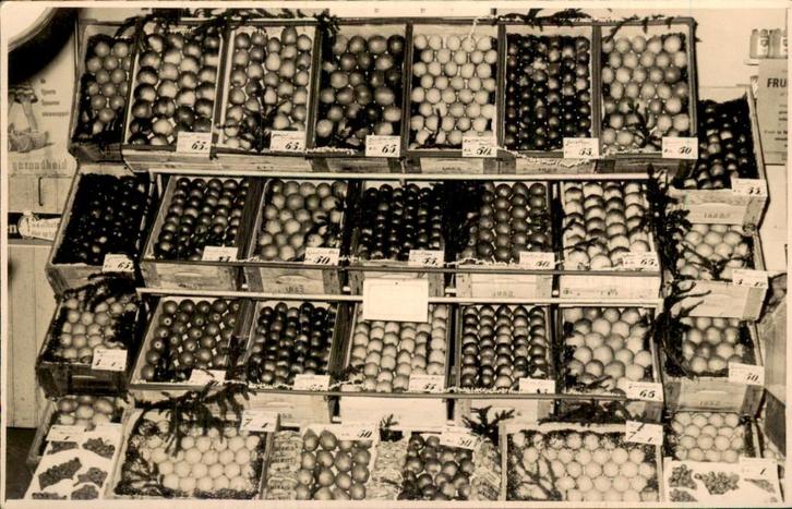 Gelderland - Groeten- en fruitwinkel, Verzamelen, Ansichtkaarten | Nederland, Ongelopen, Gelderland, Voor 1920, Ophalen of Verzenden