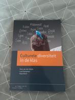 Luuk Kampman - Culturele diversiteit in de klas, Sociale wetenschap, Ophalen of Verzenden, Zo goed als nieuw, Luuk Kampman; Hans van der Heijde; Klaas Bruin