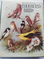 vogelgids Complete geïllustreerde Thorburn's Birds, Boeken, Natuur, Vogels, Ophalen of Verzenden, Zo goed als nieuw