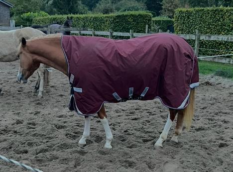 Rambo wug 185 183 50 gram, Dieren en Toebehoren, Paarden en Pony's | Dekens en Dekjes, Gebruikt, Deken, Ophalen of Verzenden