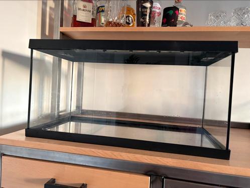 Eheim aquarium 54 liter zwart, Dieren en Toebehoren, Vissen | Aquaria en Toebehoren, Gebruikt, Leeg aquarium, Ophalen
