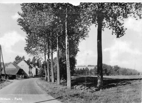 (388-507-003) Wittem Partij, Verzamelen, Ansichtkaarten | Nederland, Limburg, Verzenden
