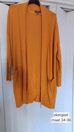 Okergeel vest maat 34-36, Kleding | Dames, Truien en Vesten, Ophalen of Verzenden, Zo goed als nieuw