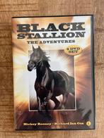 Black Stallion dvd box., Ophalen of Verzenden, Zo goed als nieuw, Avontuur, Film