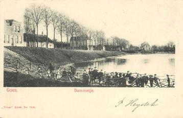 (386-211-001) Goes Dammetje beschikbaar voor biedingen