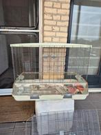 Vogelkooi, Ophalen, Gebruikt, Metaal, Vogelkooi