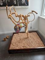 Papegaaienboom/javaboom XXL mahoniehout verrijdbaar ZGAN, Ophalen, Zo goed als nieuw, Overige typen