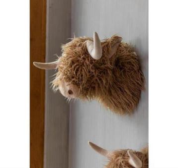 Schotse Hooglander Wandkop Bruin beschikbaar voor biedingen