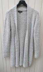 Geisha vest zgan, Verzenden, Zo goed als nieuw, Maat 42/44 (L), Grijs