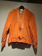 Hoodie maat L, Kleding | Dames, Amagansett, Oranje, Gedragen, Ophalen of Verzenden