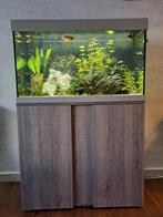 aquarium met meubel, vissen, filter, verwarming,  ledverlich, Dieren en Toebehoren, Gebruikt, Ophalen of Verzenden, Gevuld zoetwateraquarium