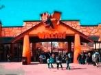 E-ticket Walibi België, geldig t/m 31 juli 2025, Eén persoon, Ticket of Toegangskaart