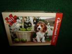 NIEUW Castorland puzzel Hondje zwart/wit met bruin 80stukjes, Ophalen of Verzenden, Meer dan 50 stukjes, Nieuw, 6 jaar of ouder