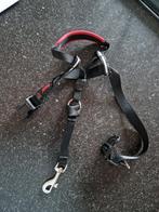 Halti, anti trektuig maat S, Ophalen, Zo goed als nieuw