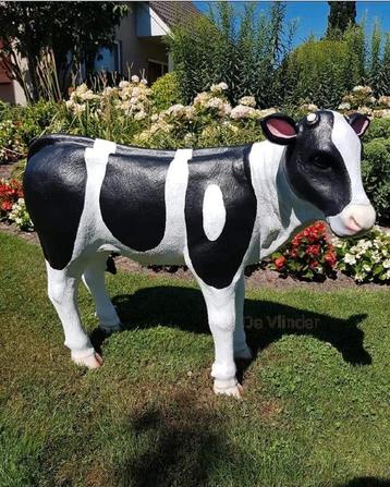 Glade koe in de aanbieding beschikbaar voor biedingen