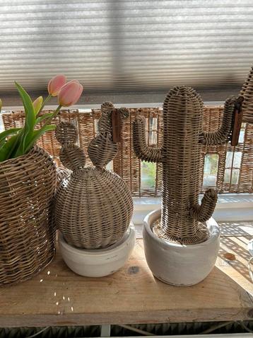 Riviera maison cactussen  