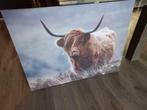 canvasdoek canvas doek 100 bij 80 cm Bizon buffel, Huis en Inrichting, Woonaccessoires | Schilderijen, Tekeningen en Foto's, Nieuw