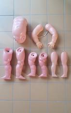 Celluloid onderdelen voor Schildpad en Minerva Poppen, Verzamelen, Ophalen of Verzenden, Zo goed als nieuw, Pop