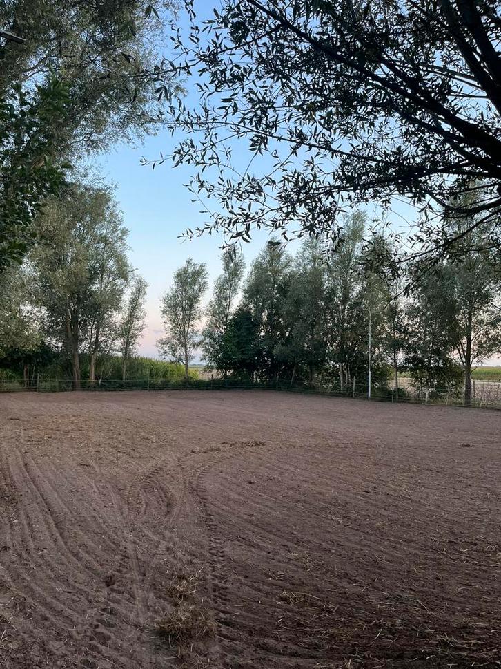 Nog maar 1 stal vrij Heerenveen, Dieren en Toebehoren, Stalling en Weidegang, Stalling