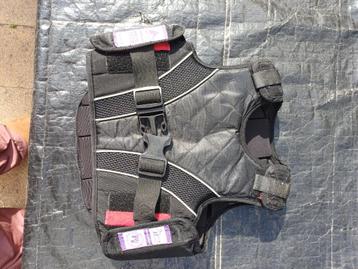 Bodyprotector harry's horse paardrijden  beschikbaar voor biedingen