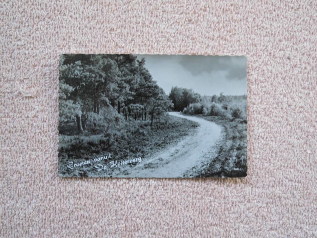 Groeten vanuit De Holterberg . Holten ?, Ophalen of Verzenden, 1940 tot 1960, Gelopen, Overijssel