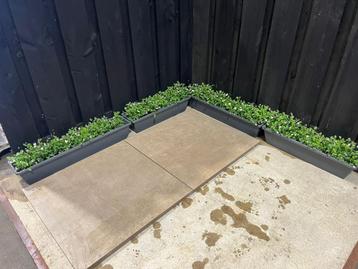 NIEUWE KERAMISCHE TEGELS!!! 80x80x3cm Cilento taupe 15,36m2 beschikbaar voor biedingen